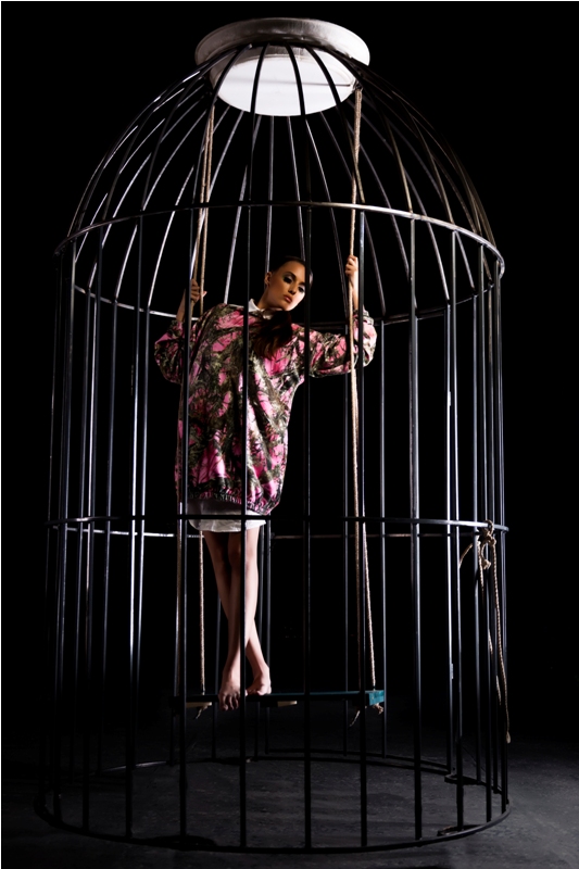 zebra irina toseva (11)