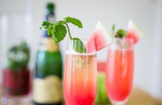 mimosa2