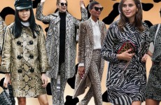 ANIMAL-PRINT