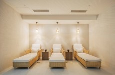 marriott dandelion (3)