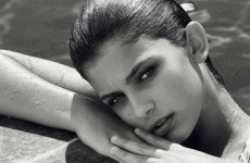 janusheva pulp (2)