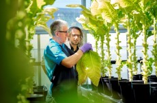 Integrated Report_PMI photo