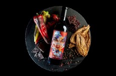 Carmenere 2019 - Kamnik overall use copy