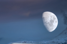 IQOS Moonlight silver