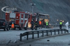 crven krst soobrakjajka