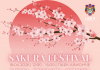 SAKURA FESTIVAL ПОСТ